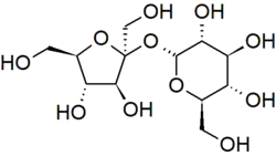 Skeletal formula of sucrose