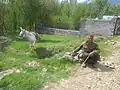 روشندل سولانی