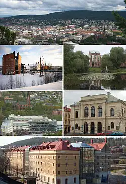Top:Panorama view of downtown Sundsvall, Stenstaden and South Stadsberget, 2nd left:Mid Sweden University (Mittuniversitetet), 2nd right:Court of Appeal for Lower Norrland in Bunsouska Pond, 3rd left:North Gate Arena and Gustav Adolf Church, 3rd right:Sundsvall Theater, Bottom:Kulturmagasiret, Sundsvall Museum and Library