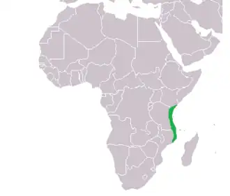 موقعیت کیلوا