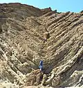 Syncline in the lower parking lot of  Calico Ghost Town ; note ductile folding at base, brittle above.