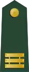 上尉 (Shàngwèi)Taiwanese army
