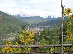 نمایی از شهر تیمفو