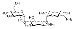 توبرامایسین