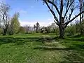 طبیعت سرسبز