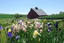 UI Arboretum with Palouse in background.