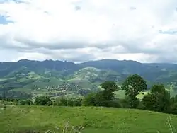 نمایی از دسق