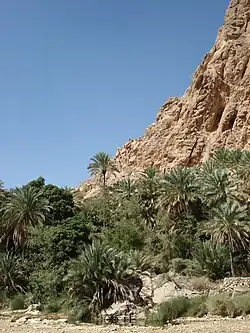 وادی بنی خالد