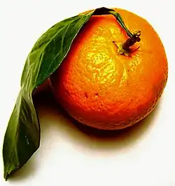 نارنگی