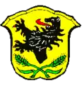 نشان پالینگ