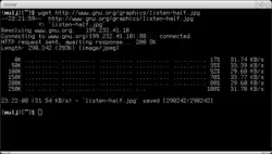 نمایی از Wget در لینوکس