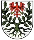 نشان ولدگک