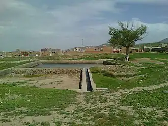 برکه و درخت کهنسال روستا