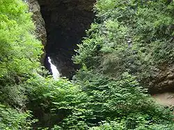 زوکودیان