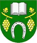 نشان تیشانی