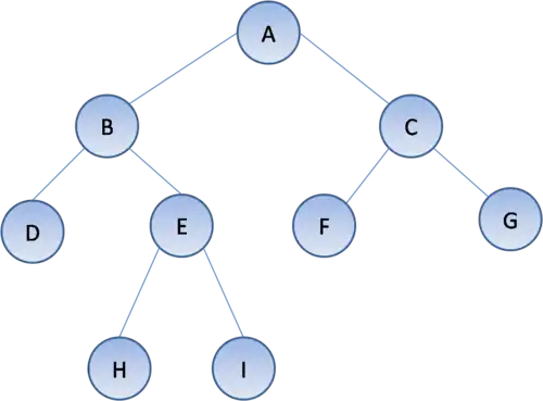 یک درخت دودویی