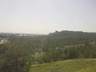نمایی از بوستان جنگلی چیتگر
