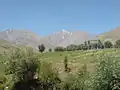 طبیعت اطراف فرزیان(اشترانکوه)