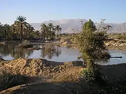 نخلستان گودگز