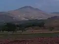 اوریان داغی