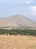 اوریان داغی