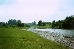 پیرامون کیسم