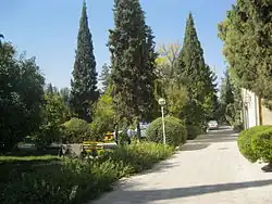 باغ نظر