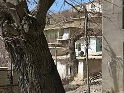 تنه یک درخت توت بزرگ که در میانه روستا قرار گرفته‌است