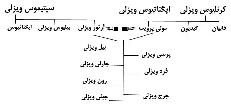 شجره نامه خانوادههای پریوت و ویزلی که به هم منتهی میشود.